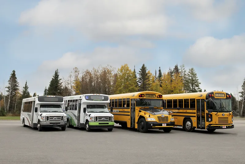Deux minibus blancs et deux autobus scolaires jaunes Interbus alignés devant une forêt d'automne